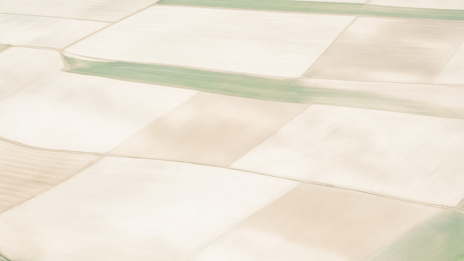 Aerial view of pale fields divided into large geometric plots.