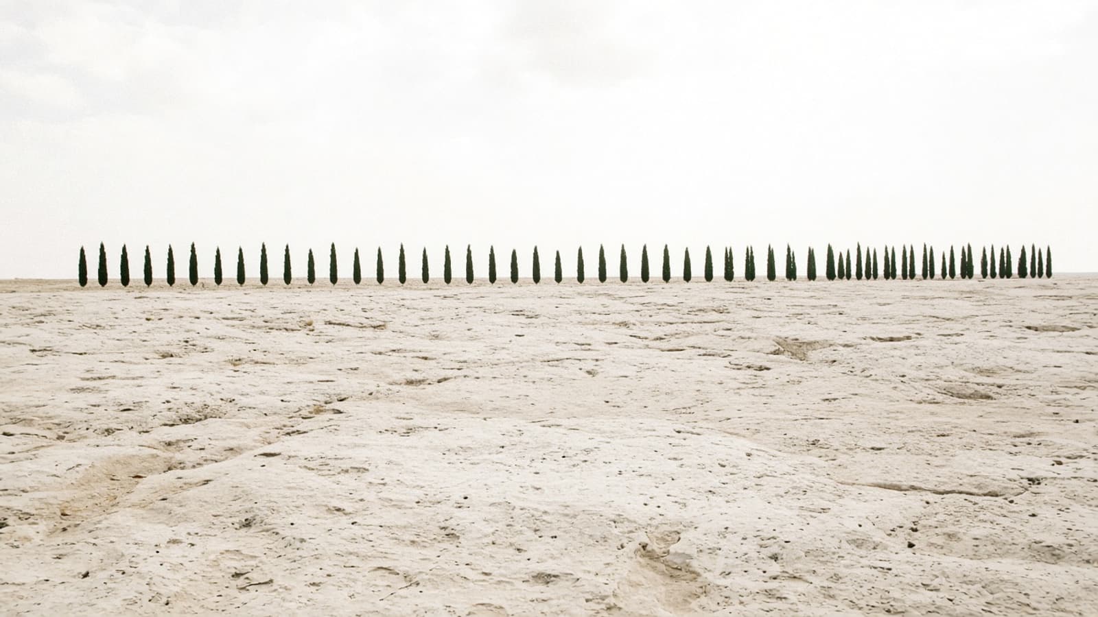 A pale stone plain under a white sky, with a single row of dark cypress trees on the horizon.